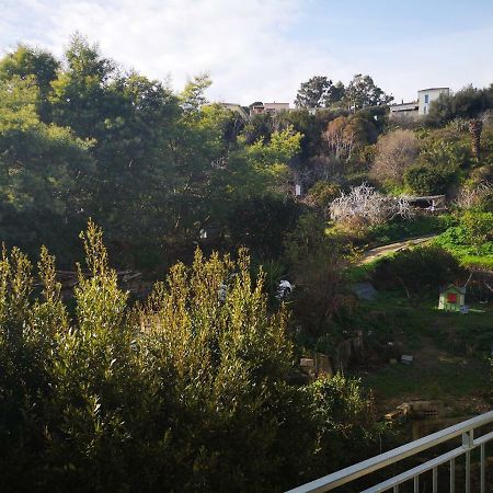 Appartement Rue Colonella Proche Citadelle Bastiya Dış mekan fotoğraf